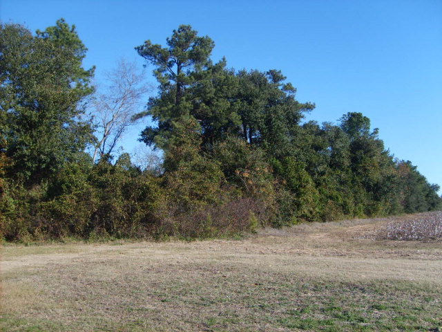 0 Verniel Road Elloree, SC 29047 - Photo 1 of 1
