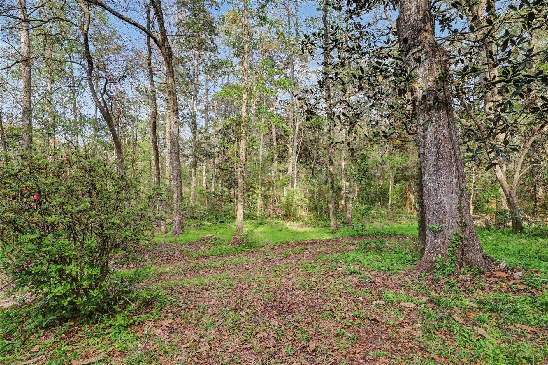 439 Beaver Lake Road Tallahassee, FL 32312 - Photo 60 of 70
