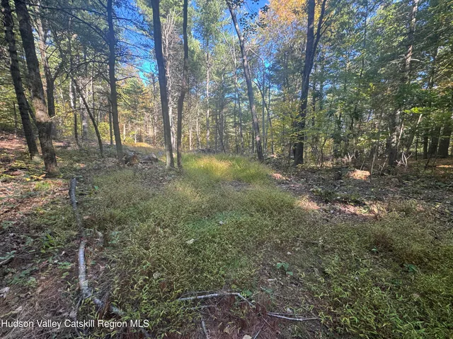 $375,000 | 0 Snydertown Road, Craryville, NY 12521