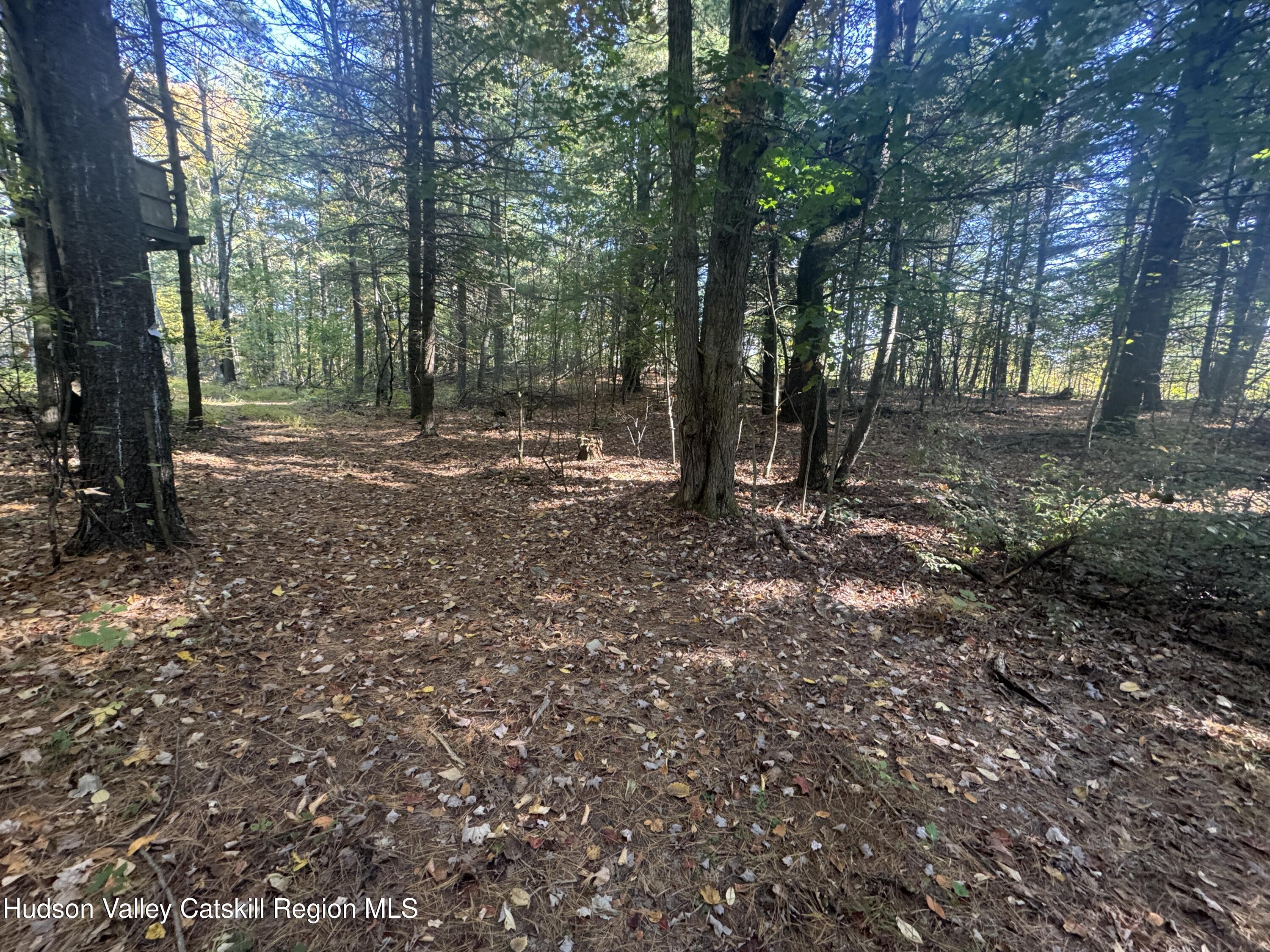 0 Snydertown Road Craryville, NY 12521 - Photo 20 of 23 a view of a forest with trees