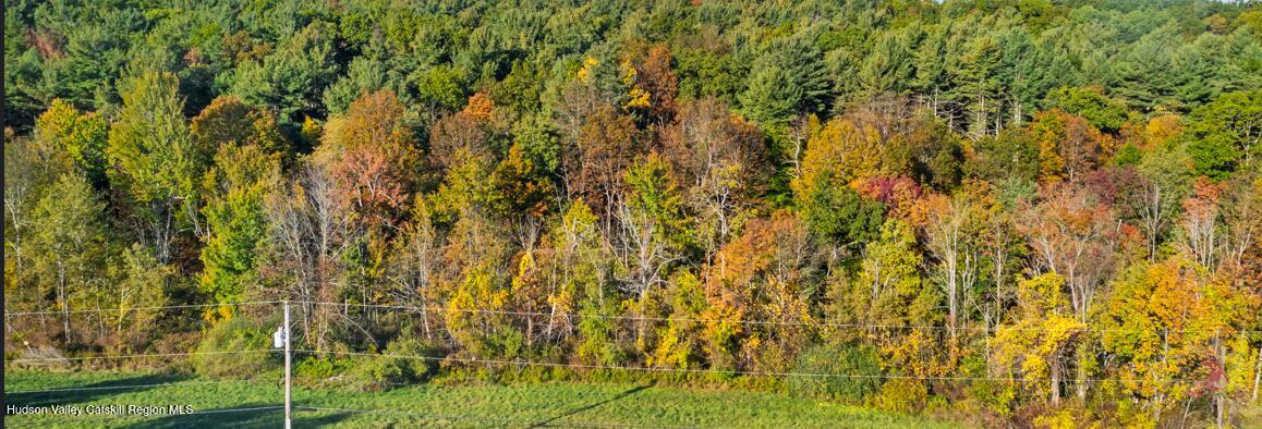 0 Snydertown Road Craryville, NY 12521 - Photo 23 of 23