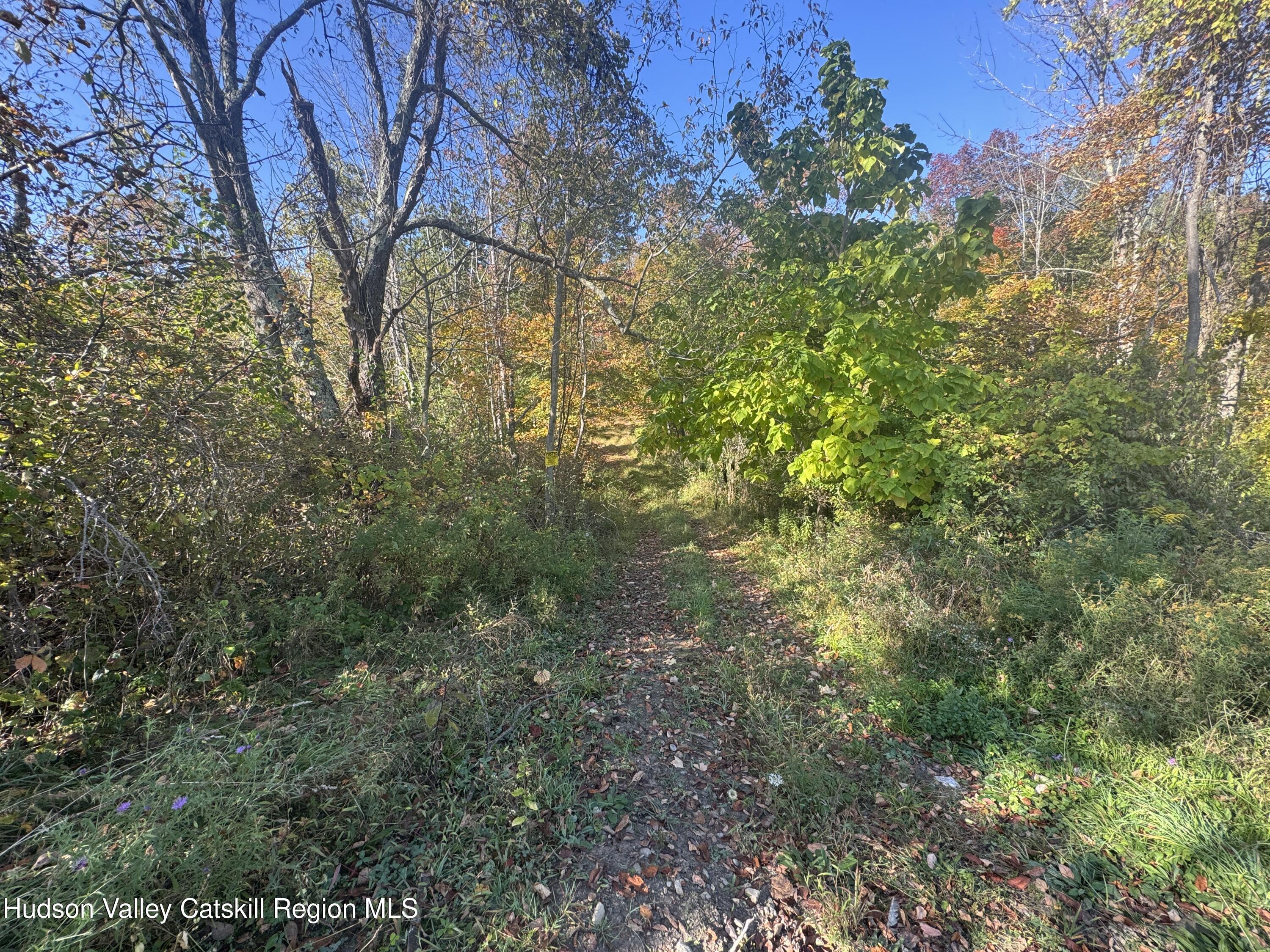 0 Snydertown Road Craryville, NY 12521 - Photo 7 of 23 a view of forest