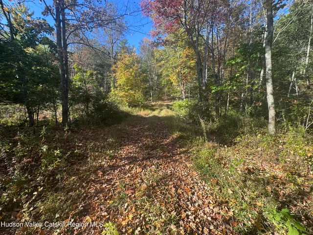 $375,000 | 0 Snydertown Road, Craryville, NY 12521