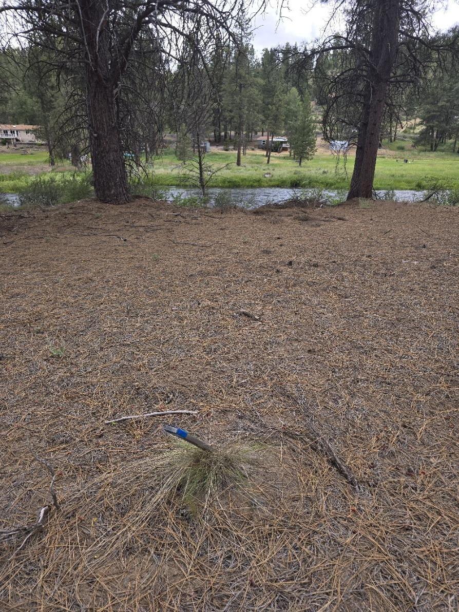 0 Chiloquin Ridge Road, Unit 1 Chiloquin, OR 97624 - Photo 15 of 46 20250621_121520