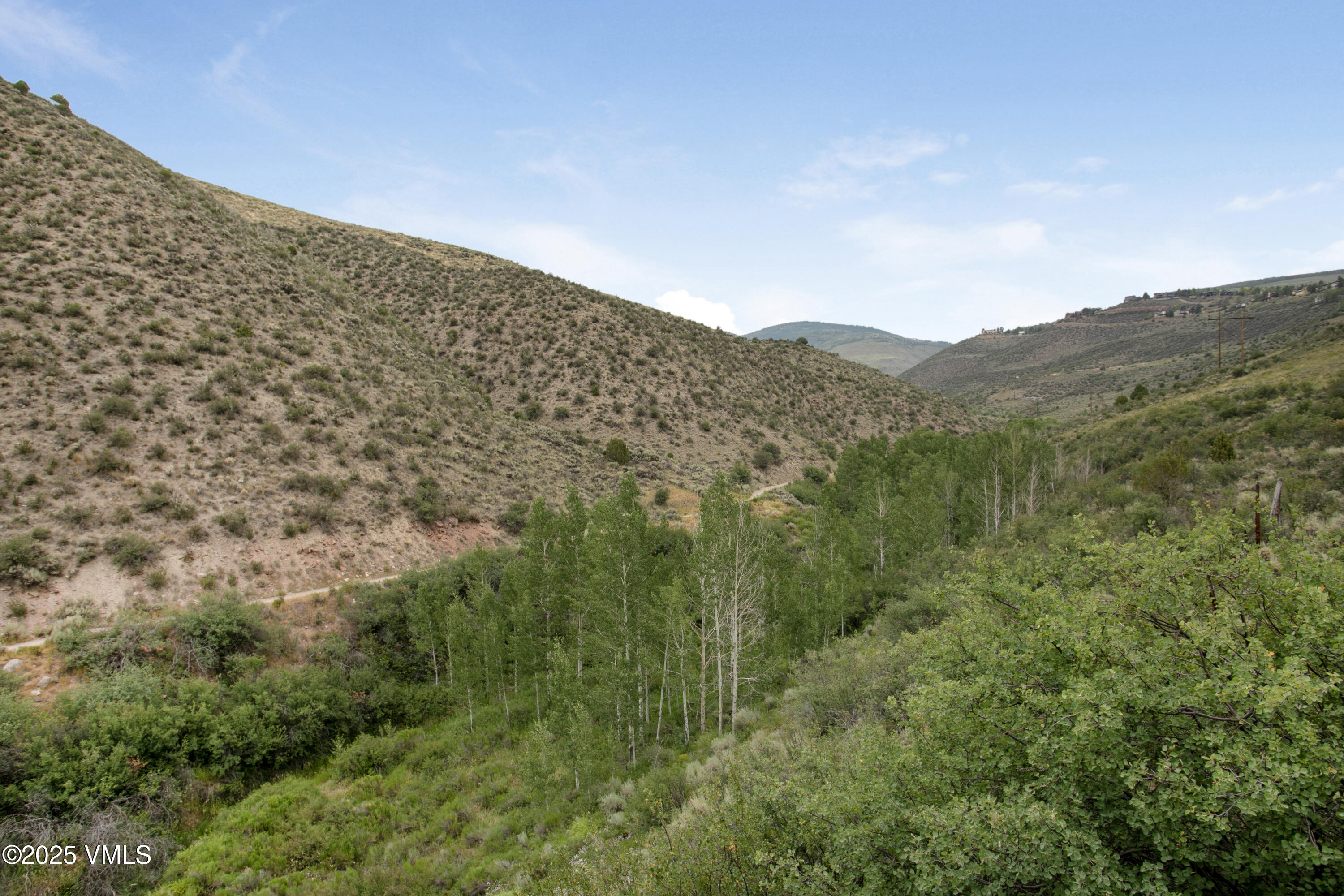 1161 June Creek Road Edwards, CO 81632 - Photo 21 of 24 1161 June Creek-015
