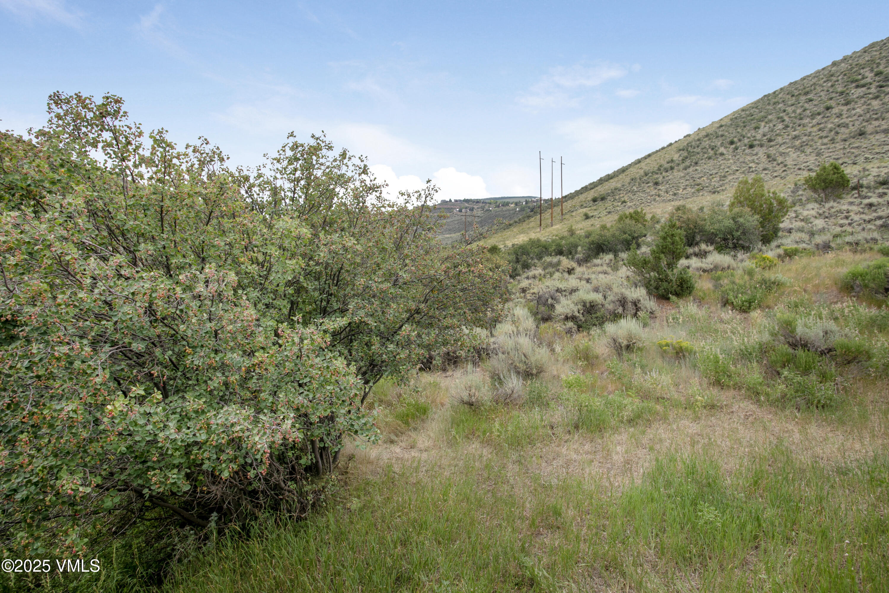 1161 June Creek Road Edwards, CO 81632 - Photo 22 of 24 1161 June Creek-007