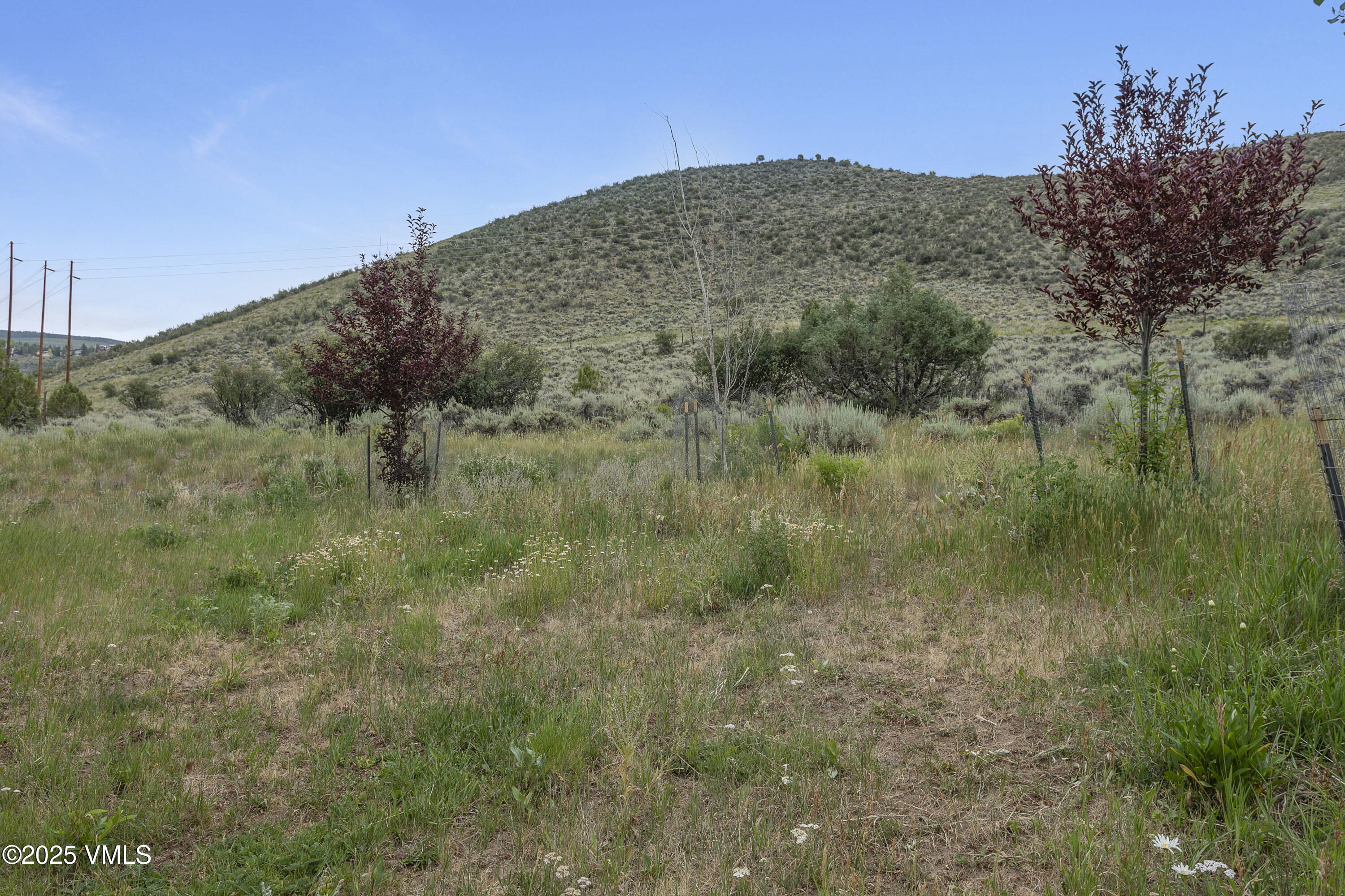 1161 June Creek Road Edwards, CO 81632 - Photo 24 of 24 1161 June Creek-033