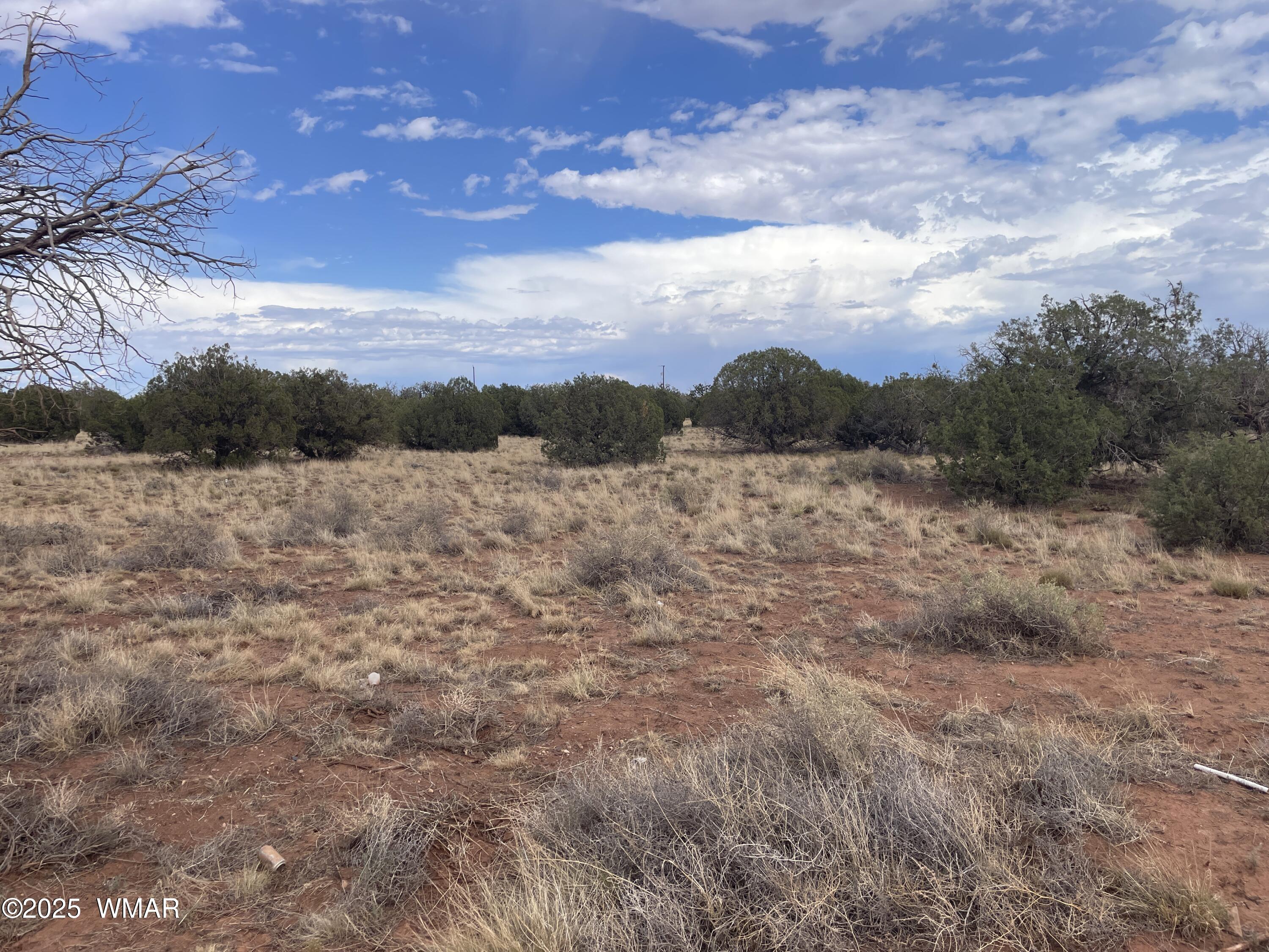 4353 Colt Road Snowflake, AZ 85937 - Photo 1 of 18 a view of mountain with lake view