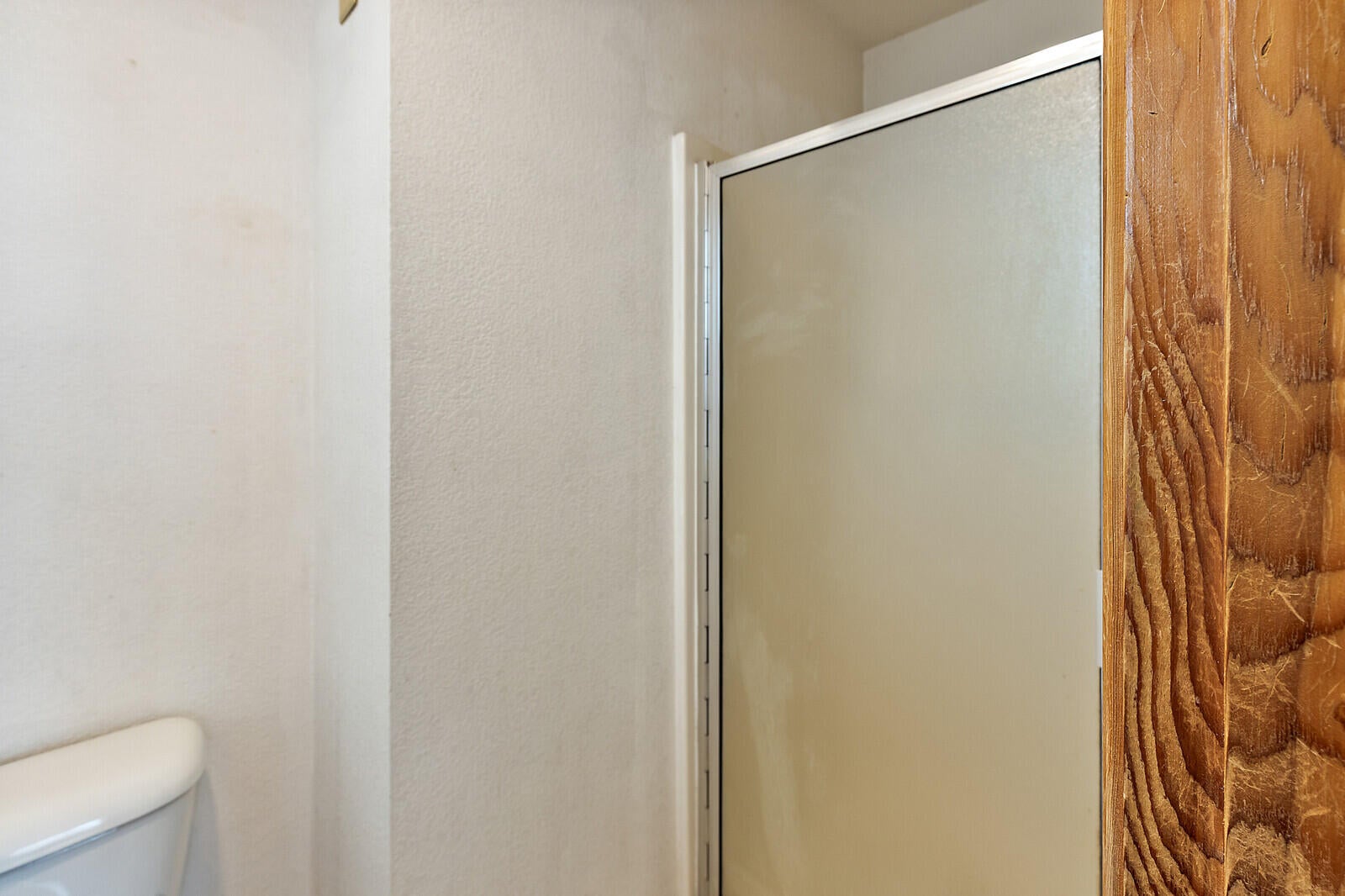 641 Southwest Balsam Road Grants Pass, OR 97526 - Photo 11 of 28 Shower!
