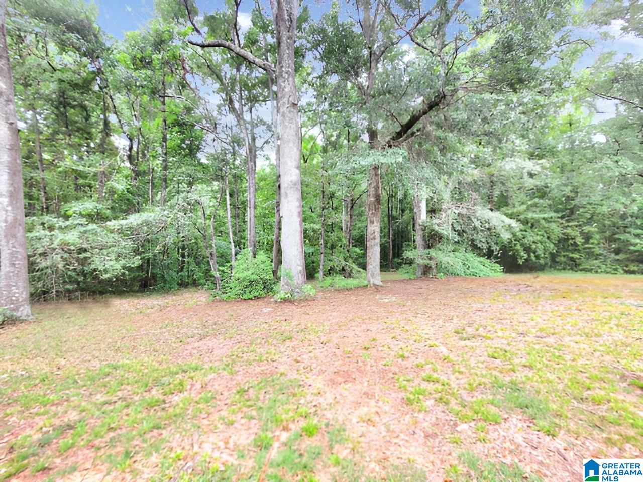 1425 Cragford Road Ashland, AL 36251 - Photo 33 of 35