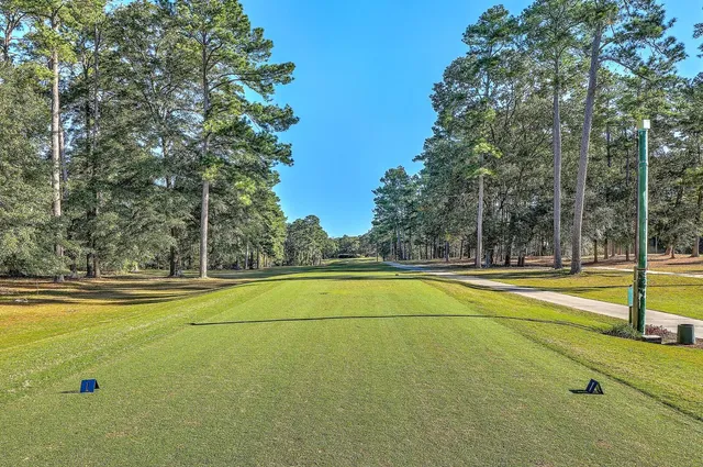 $470,000 | 106 Santee Cooper Annex, Santee, SC 29142