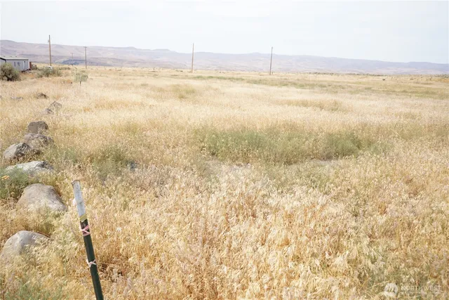 a view of an ocean and beach