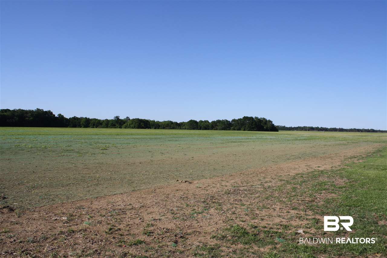 0 Vernant Park Road Foley, AL 36535 - Photo 9 of 20