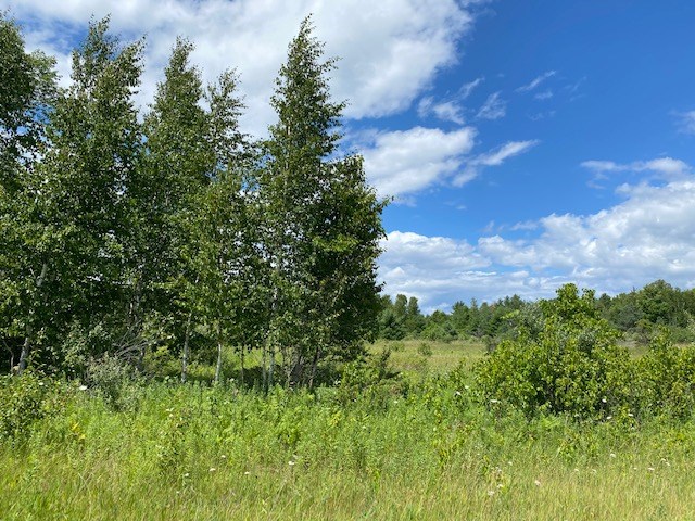 Wild Nest Road Fish Creek, WI 54212 - Photo 10 of 13