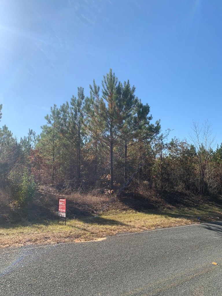 0 Biscayne Road Aiken, SC 29803 - Photo 2 of 5