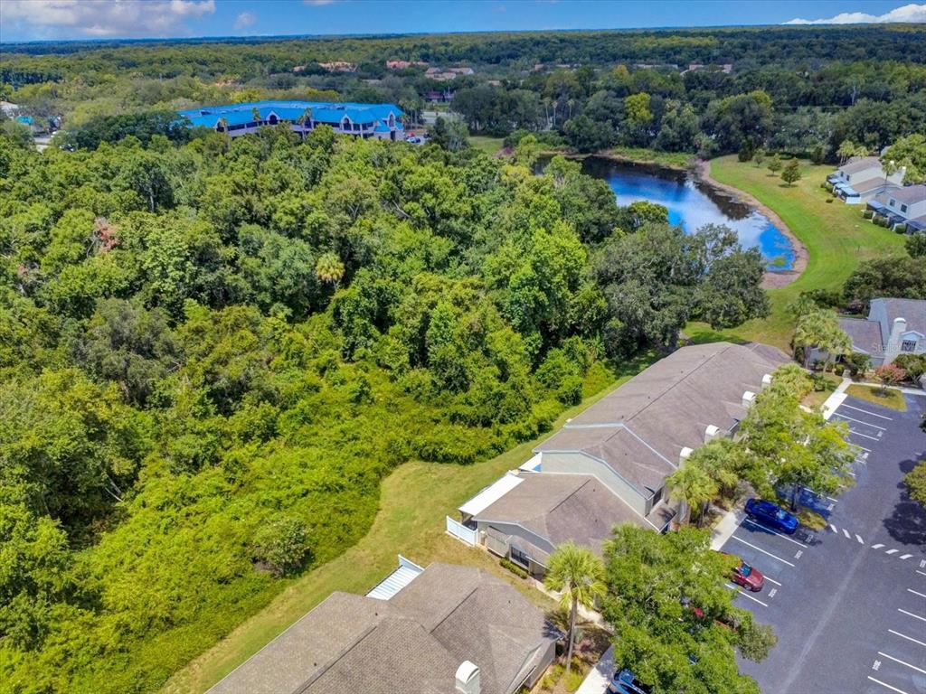 5100 Burchette Road, Unit 3200 Tampa, FL 33647 - Photo 59 of 61