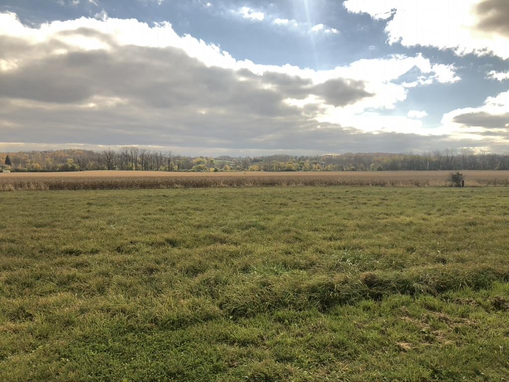 5855 Black Road Cable, OH 43009 - Photo 18 of 29