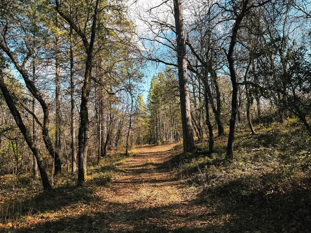 $150,000 | 1016 Spink Road, West Point, CA 95255