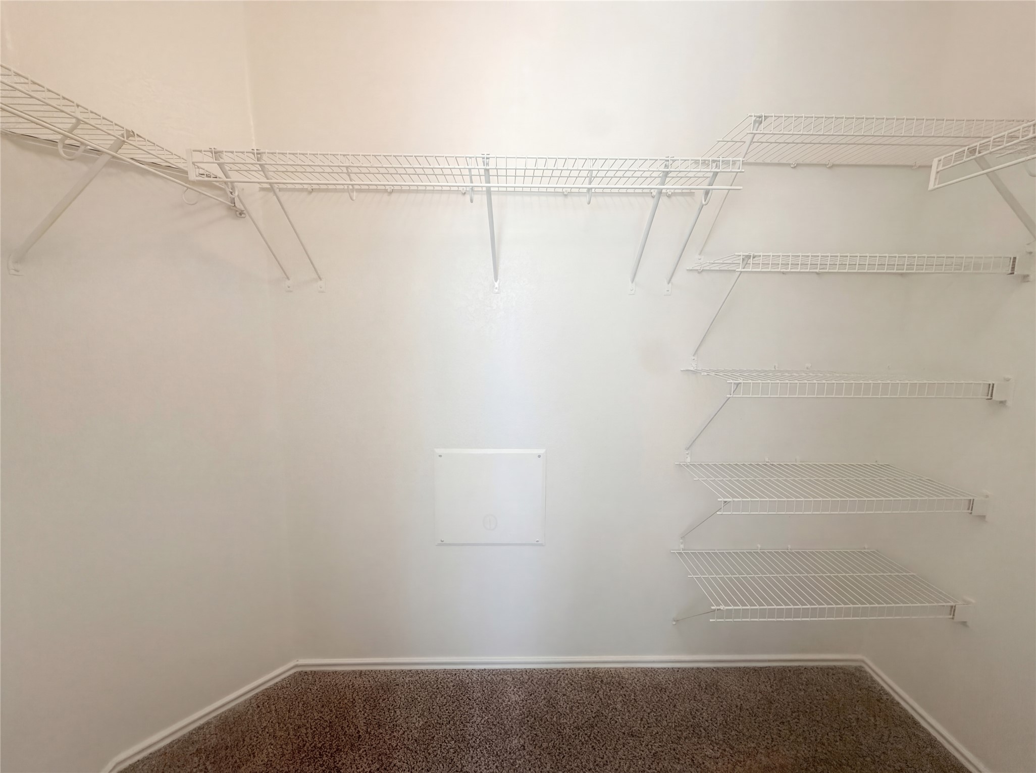 110 Strawn Kyle, TX 78640 - Photo 11 of 22 Walk in closet with carpet