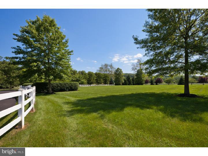 110 Street Road New Hope, PA 18938 - Photo 3 of 25