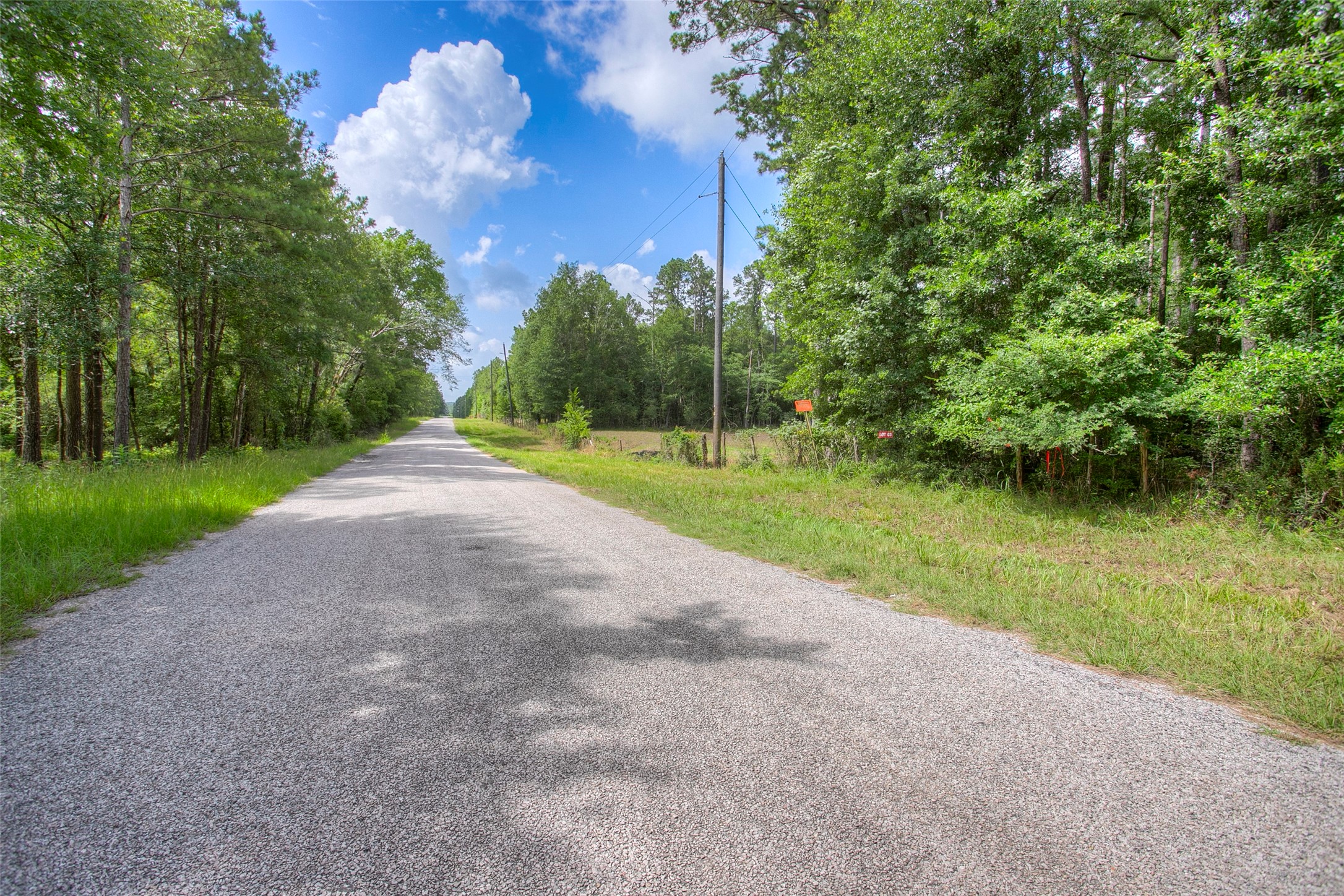 9 Utley Road Huntsville, TX 77320 - Photo 5 of 5 a view of a park with large trees