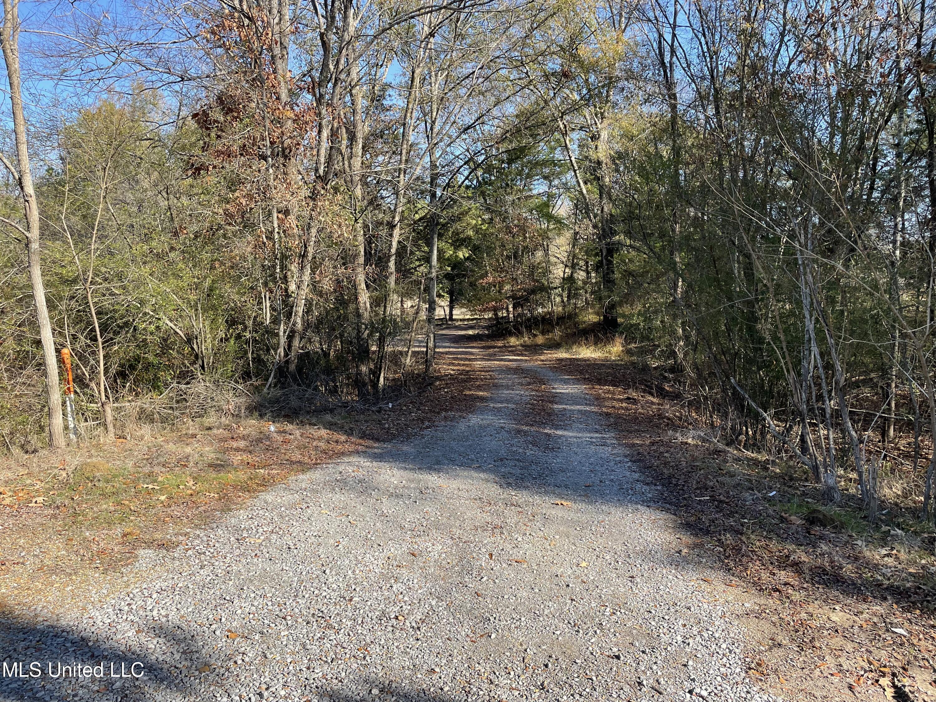 0 Robinson Springs Road Madison, MS 39110 - Photo 2 of 4 IMG_8690