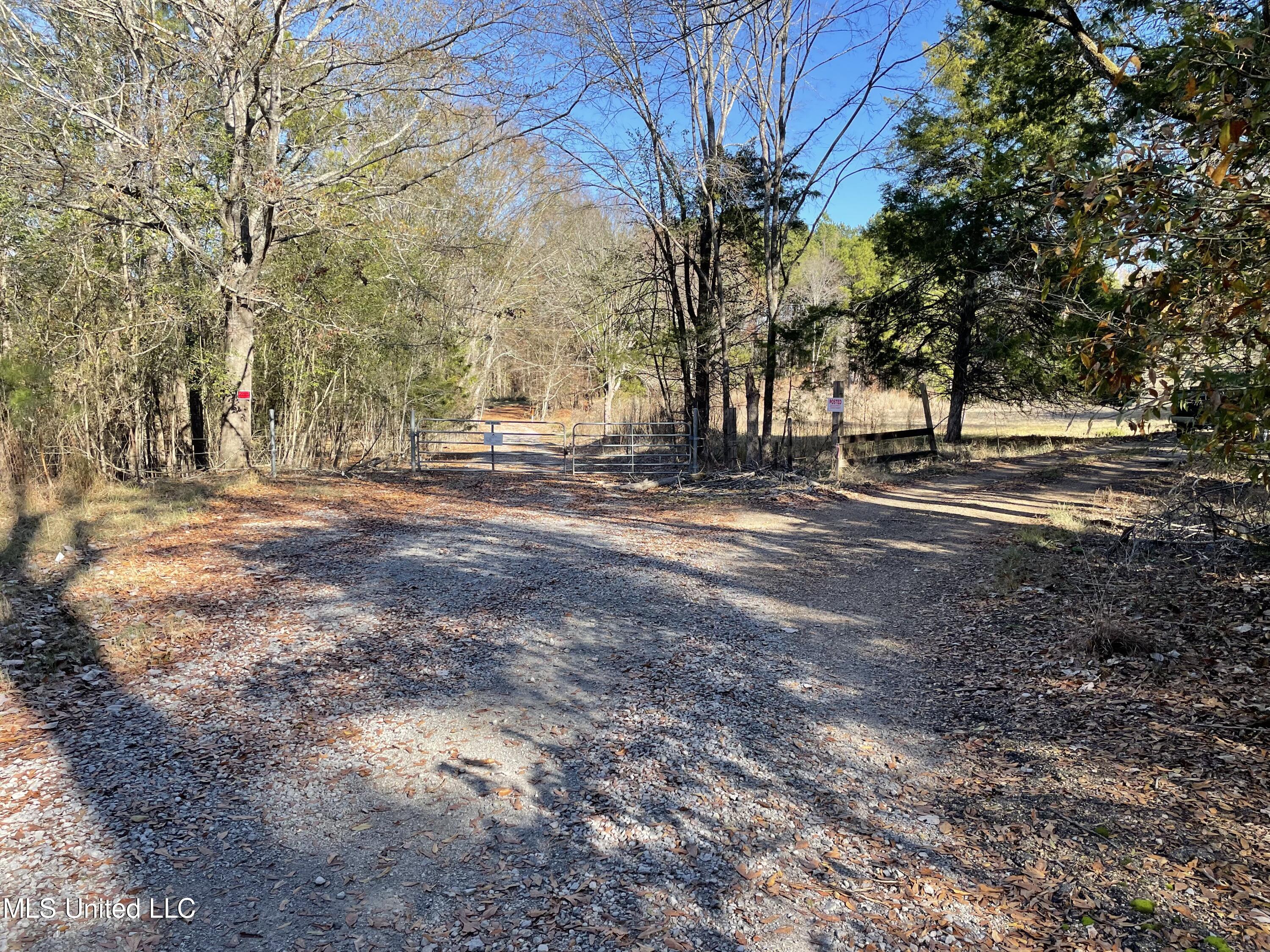 0 Robinson Springs Road Madison, MS 39110 - Photo 3 of 4 IMG_8691