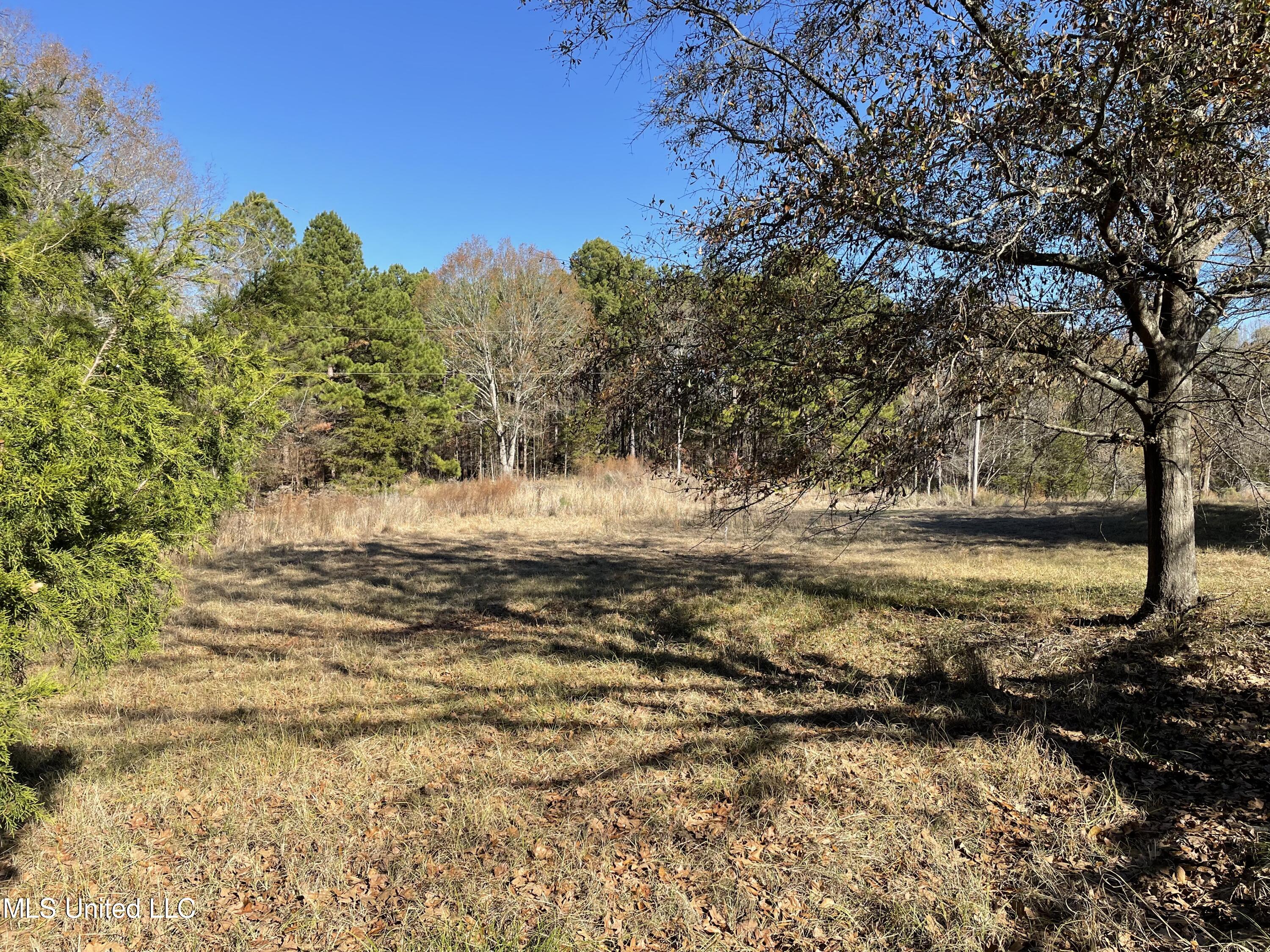 0 Robinson Springs Road Madison, MS 39110 - Photo 4 of 4 IMG_8693