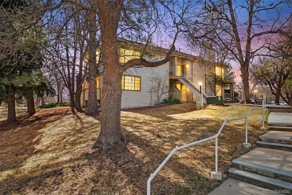 a view of a yard with plants and trees