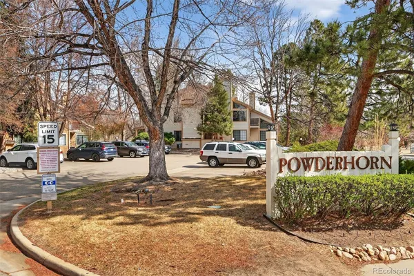 a view of park with large trees