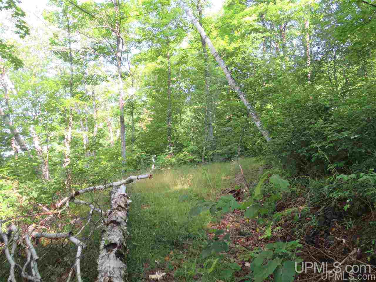 112 Green Road Michigamme, MI 49861 - Photo 29 of 32 Gallery Image 29