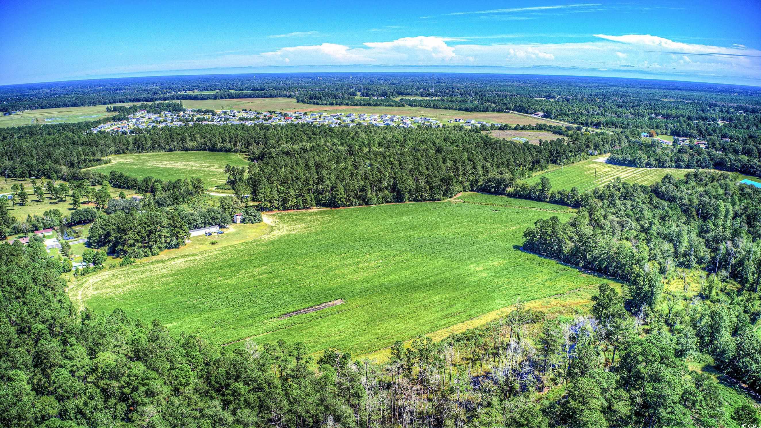 Tbd Apple Valley Road Loris, SC 29569 - Photo 2 of 2 View of property location featuring a heavily wooded area and rural landscape