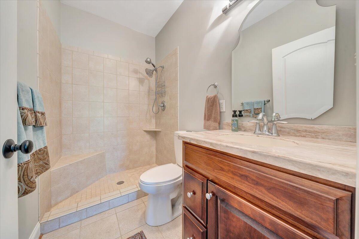 46 Claybrook Court Blue Ridge, VA 24064 - Photo 40 of 76 a bathroom with a sink a toilet and shower