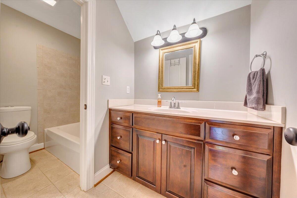 46 Claybrook Court Blue Ridge, VA 24064 - Photo 47 of 76 a bathroom with a sink toilet and mirror