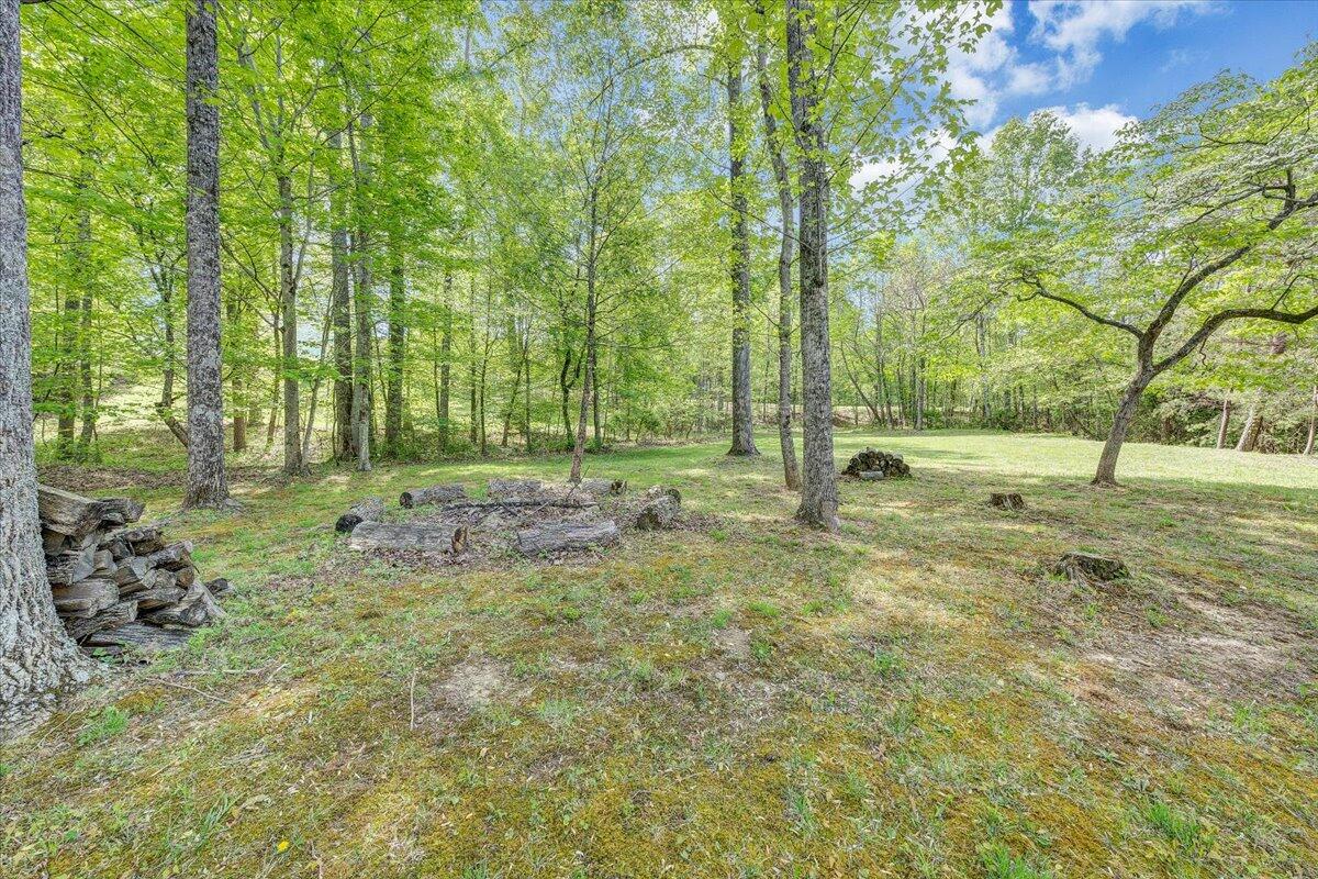 46 Claybrook Court Blue Ridge, VA 24064 - Photo 71 of 76 a backyard of a house with lots of green space