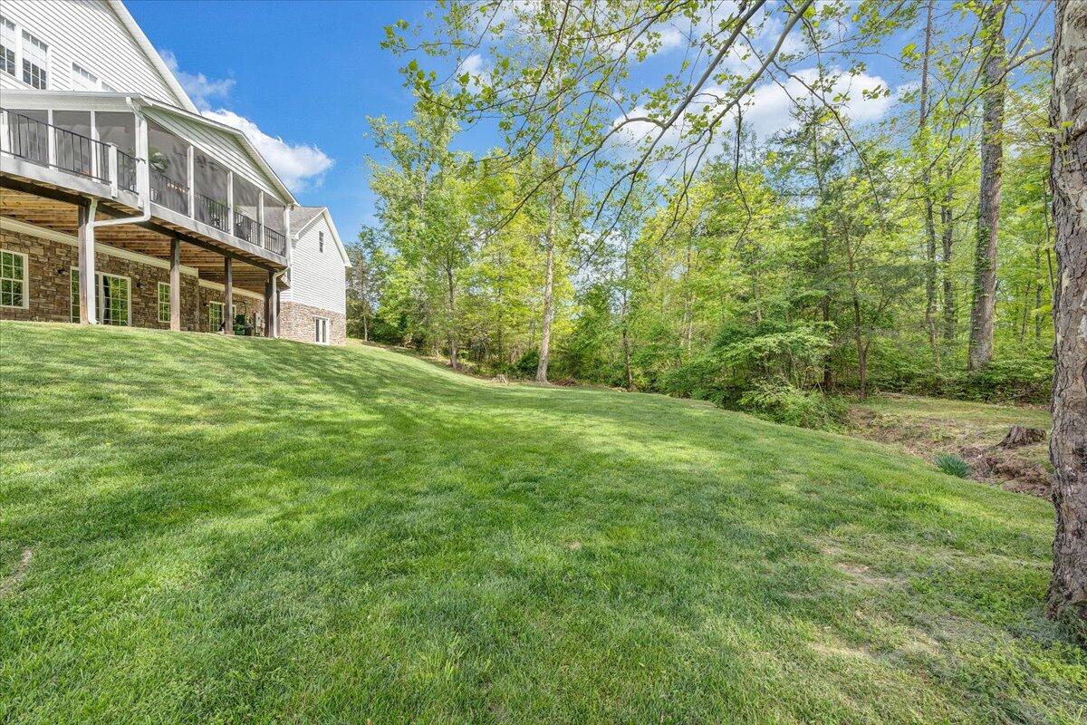 46 Claybrook Court Blue Ridge, VA 24064 - Photo 72 of 76 72-MIB09500