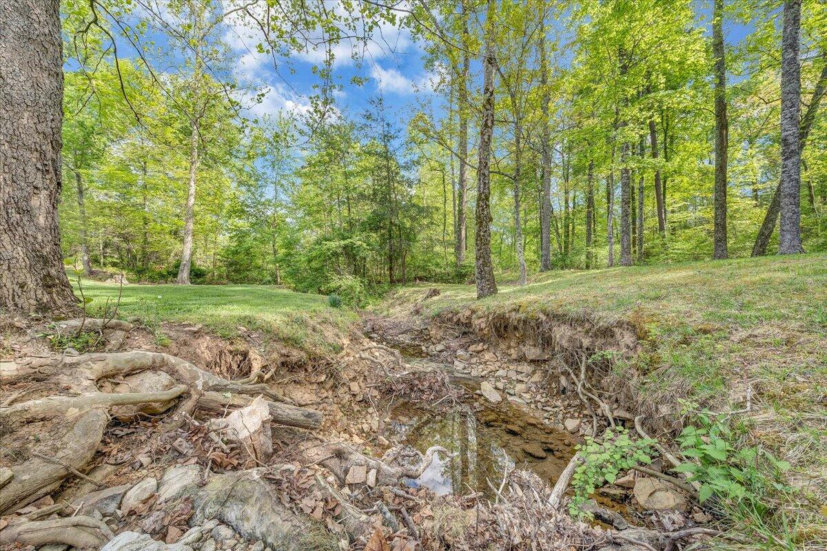46 Claybrook Court Blue Ridge, VA 24064 - Photo 73 of 76 a view of a field with trees in the background