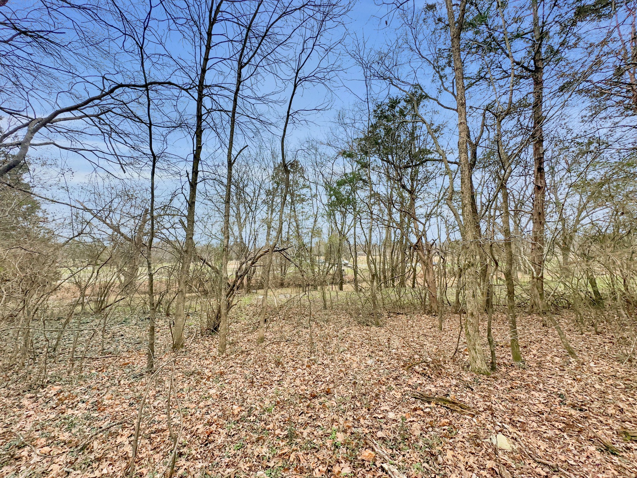 1430 Powell Grove Road Lebanon, TN 37090 - Photo 13 of 31