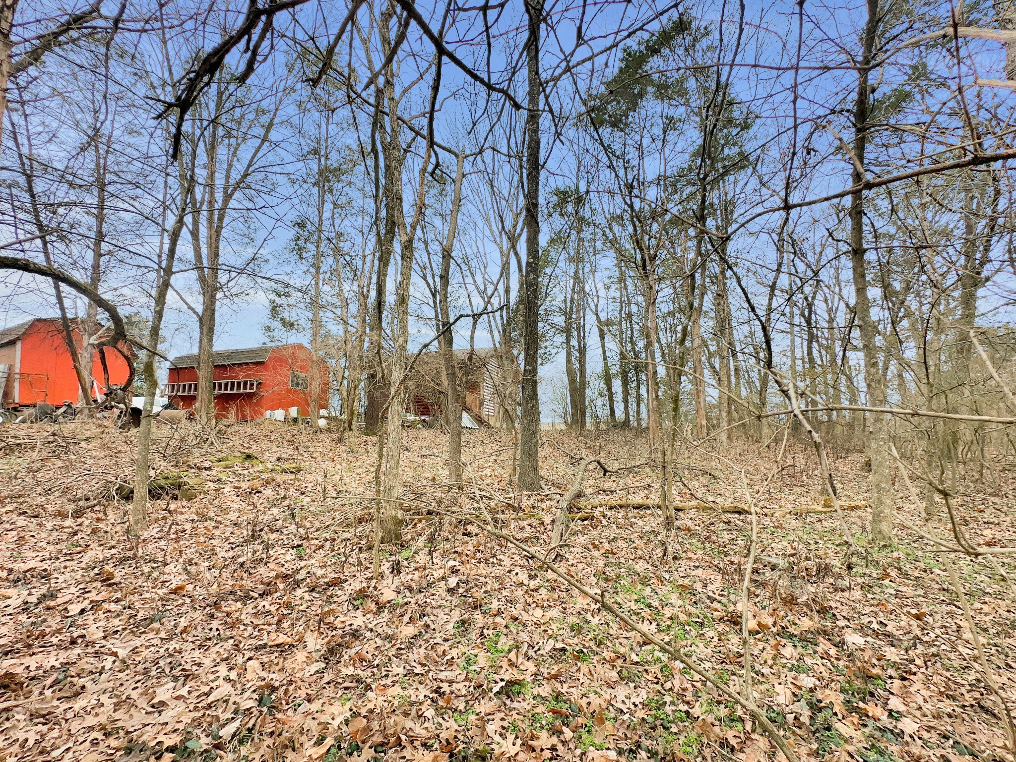 1430 Powell Grove Road Lebanon, TN 37090 - Photo 15 of 31