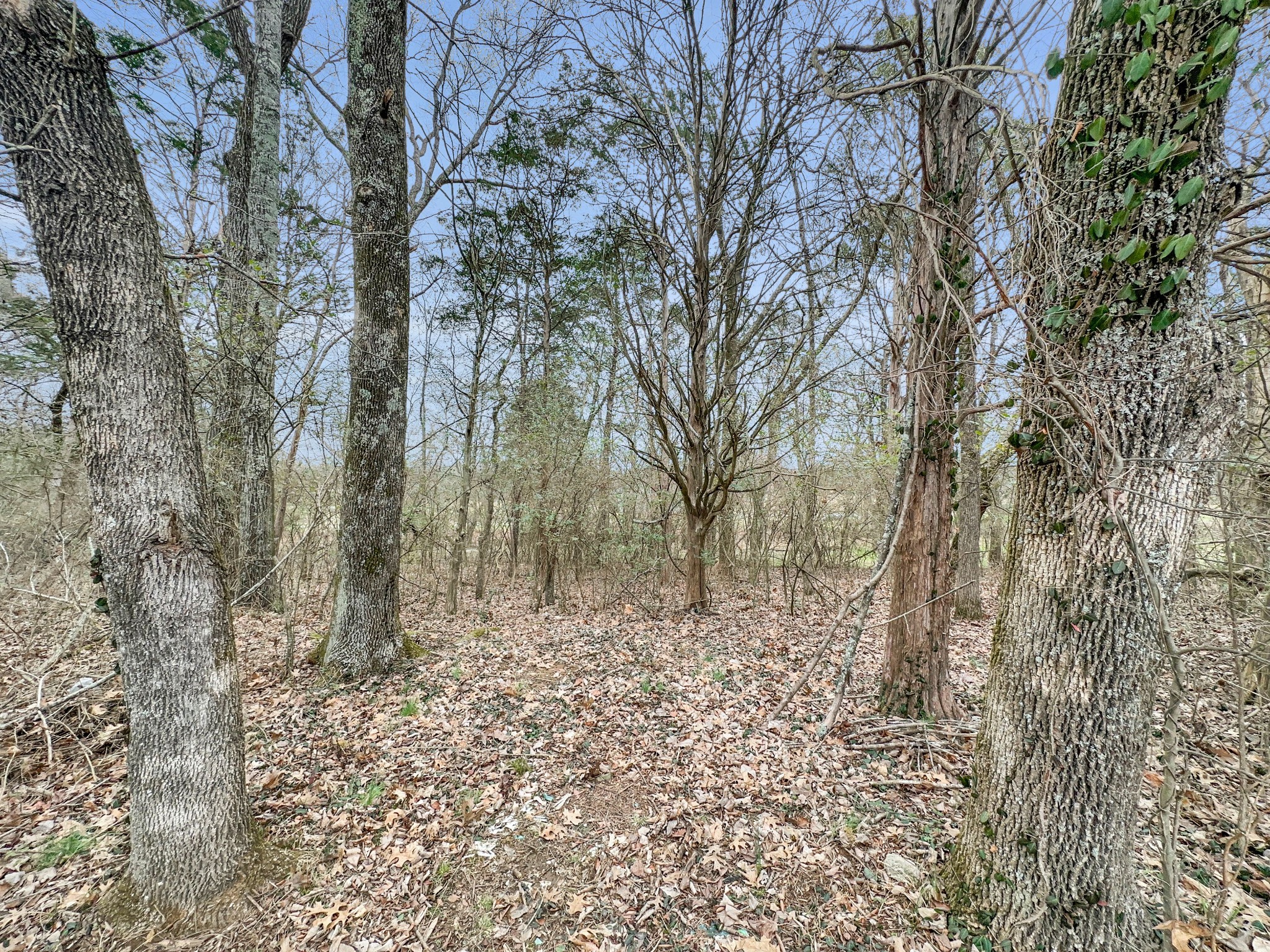 1430 Powell Grove Road Lebanon, TN 37090 - Photo 20 of 31