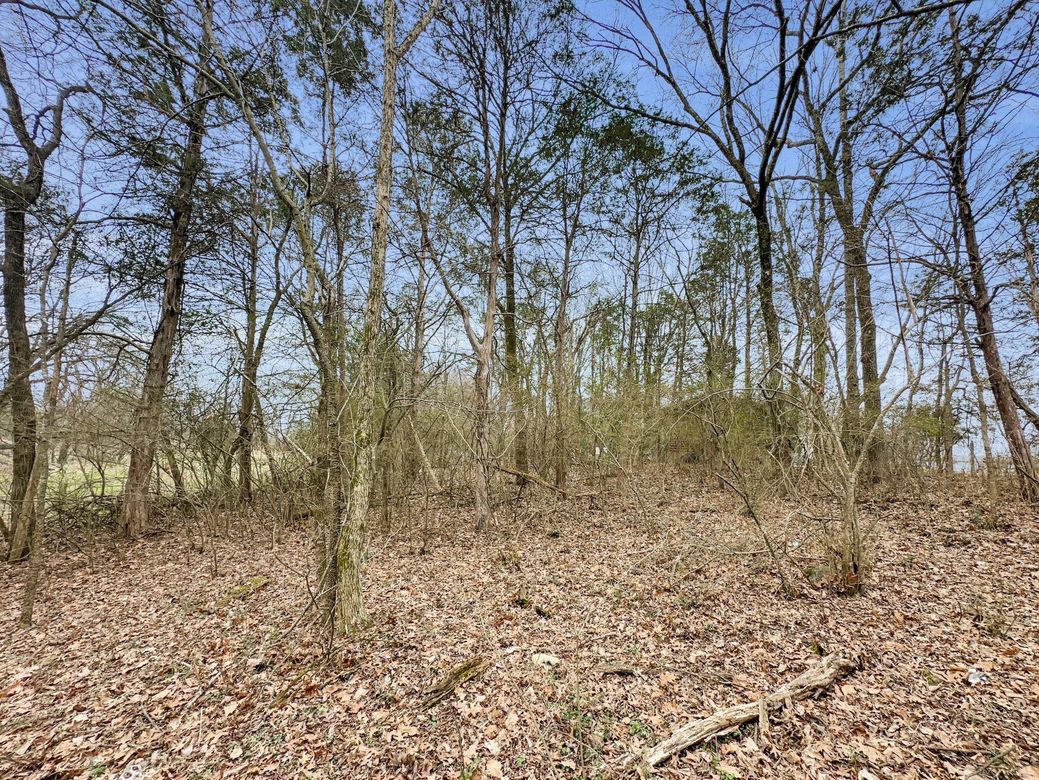 1430 Powell Grove Road Lebanon, TN 37090 - Photo 21 of 31