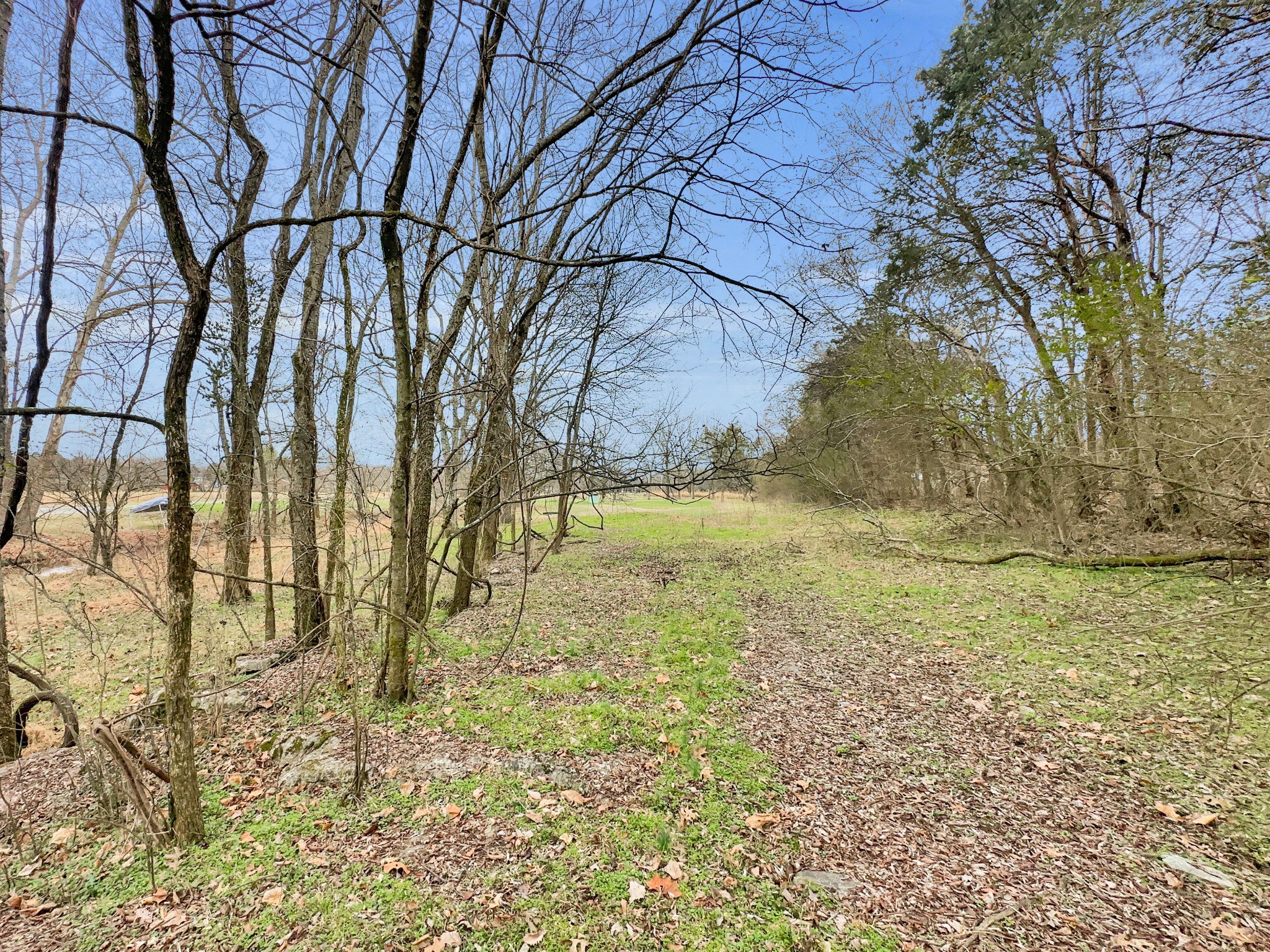 1430 Powell Grove Road Lebanon, TN 37090 - Photo 6 of 31