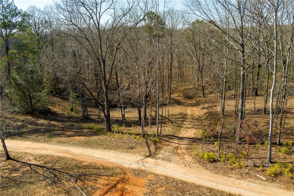 170 Sperin Cabinet Shop Road Ball Ground, GA 30107 - Photo 16 of 19