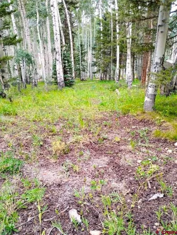 a view of a yard with a house