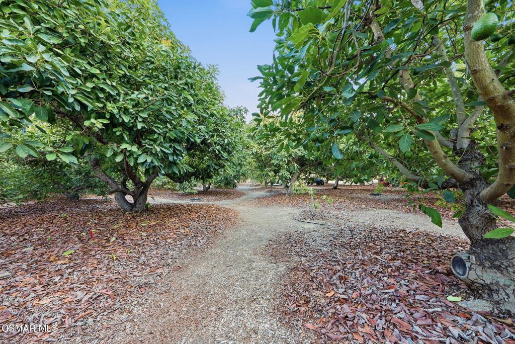 280 Cummings Road Santa Paula, CA 93060 - Photo 43 of 48 Gallery Image 43