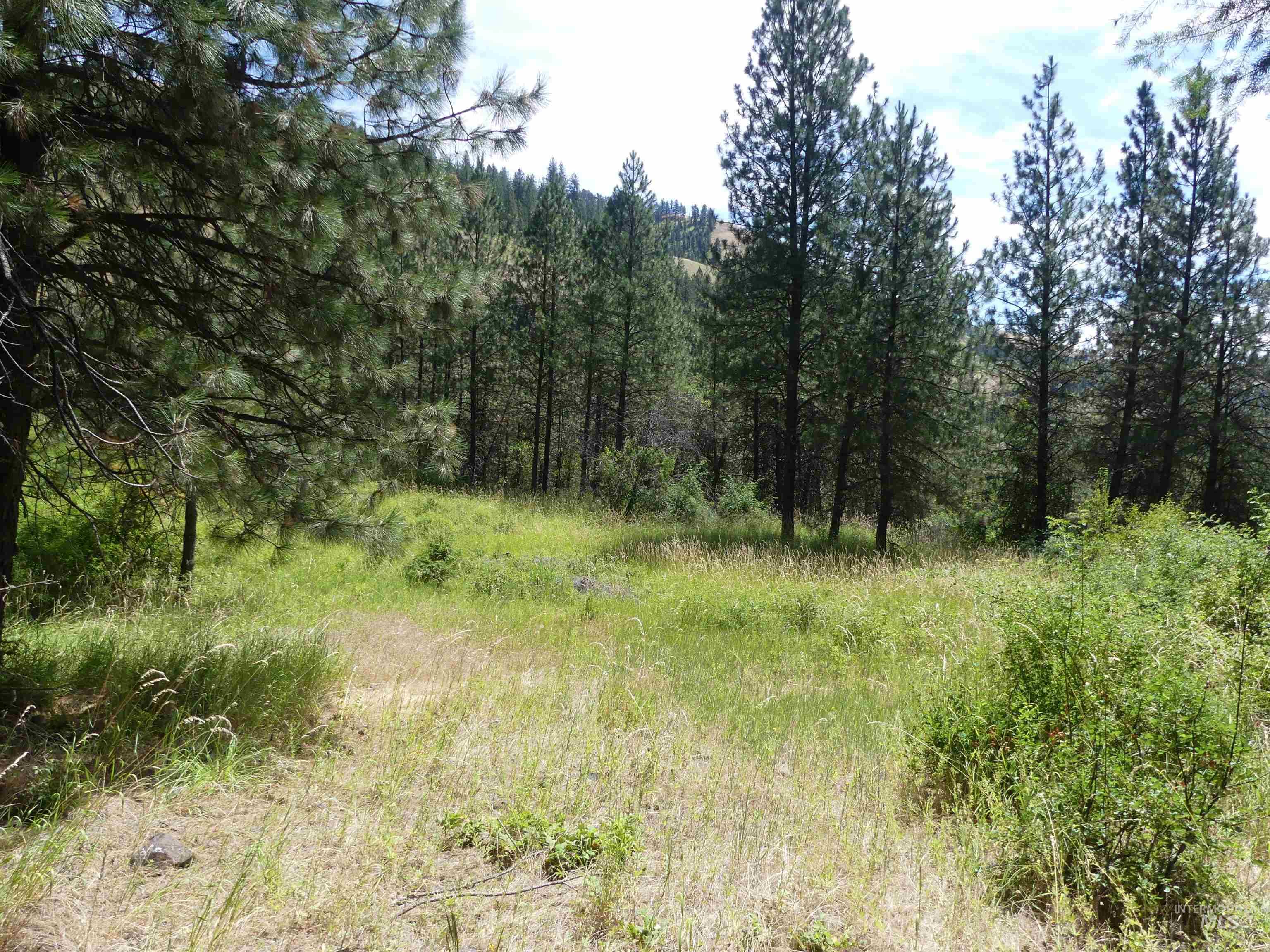 46601 Little Canyon Road Orofino, ID 83544 - Photo 18 of 46