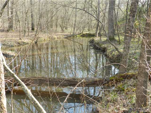 Holly Hill Road, Unit 2R Mebane, NC 27302 - Photo 4 of 25 Gallery Image 4