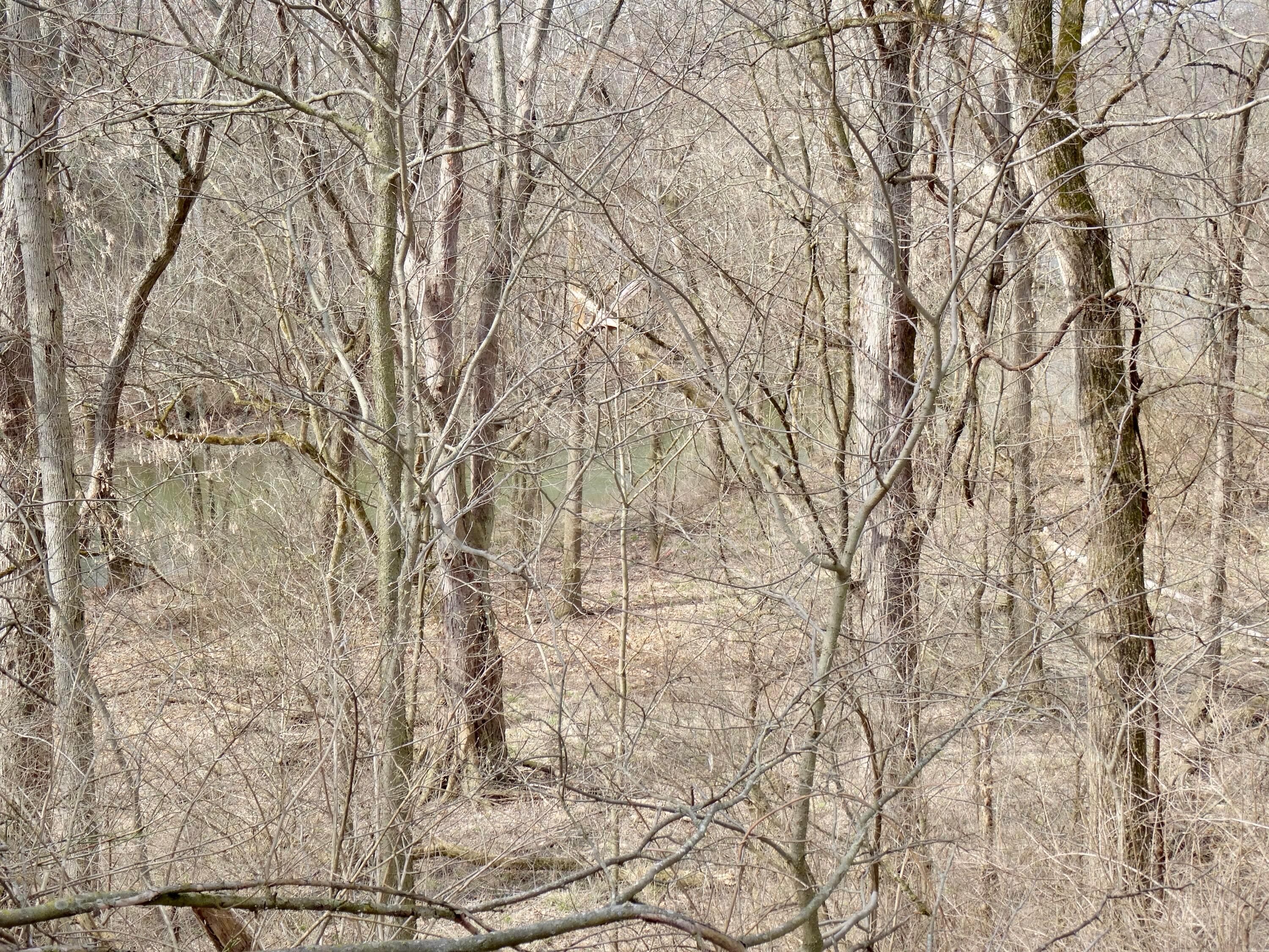 13817 Era Road Mount Sterling, OH 43143 - Photo 24 of 24 DSC02484