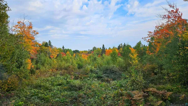 $132,000 | 1541 Camp 20 Road, Grand Marais, MN 55604