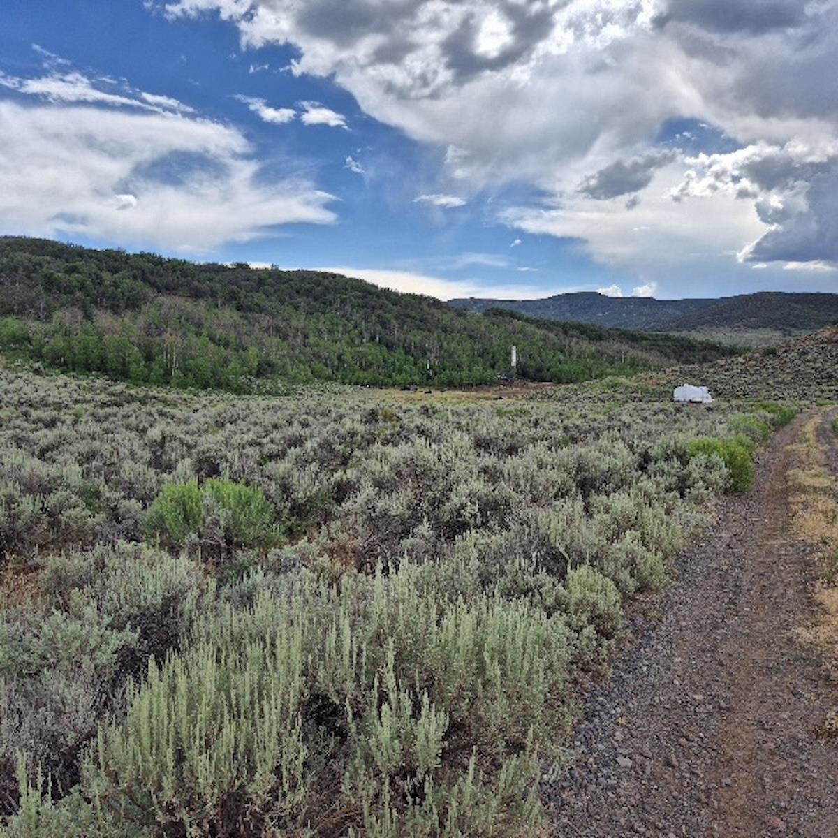 Tbd Harrison Creek Road Collbran, CO 81624 - Photo 37 of 40 Gallery Image 37